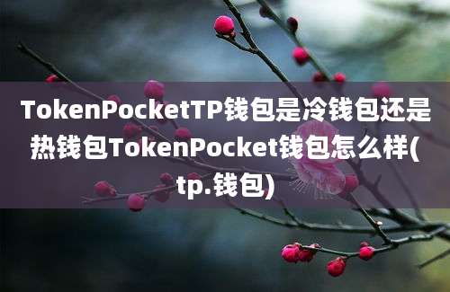 TokenPocketTP钱包是冷钱包还是热钱包TokenPocket钱包怎么样(tp.钱包)