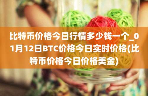 比特币价格今日行情多少钱一个_01月12日BTC价格今日实时价格(比特币价格今日价格美金)