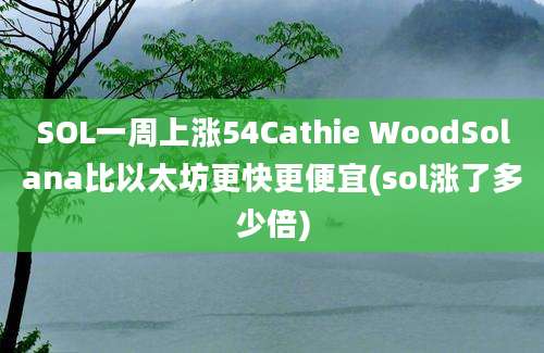 SOL一周上涨54Cathie WoodSolana比以太坊更快更便宜(sol涨了多少倍)