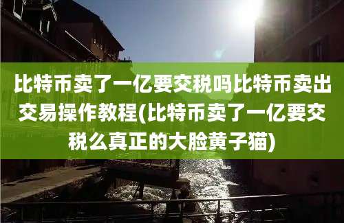 比特币卖了一亿要交税吗比特币卖出交易操作教程(比特币卖了一亿要交税么真正的大脸黄子猫)