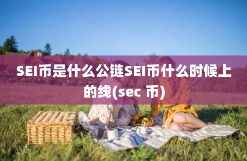 SEI币是什么公链SEI币什么时候上的线(sec 币)