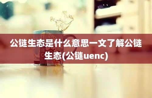 公链生态是什么意思一文了解公链生态(公链uenc)