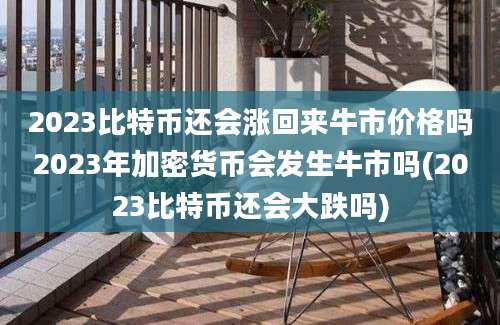 2023比特币还会涨回来牛市价格吗2023年加密货币会发生牛市吗(2023比特币还会大跌吗)