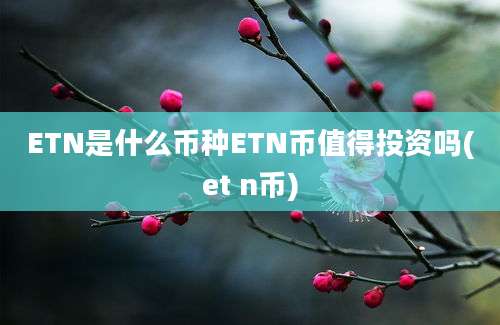 ETN是什么币种ETN币值得投资吗(et n币)