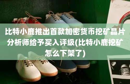 比特小鹿推出首款加密货币挖矿晶片分析师给予买入评级(比特小鹿挖矿怎么下架了)