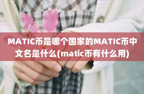 MATIC币是哪个国家的MATIC币中文名是什么(matic币有什么用)