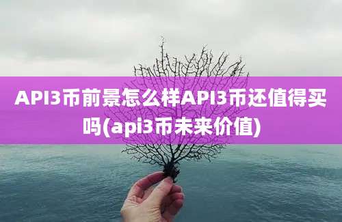 API3币前景怎么样API3币还值得买吗(api3币未来价值)