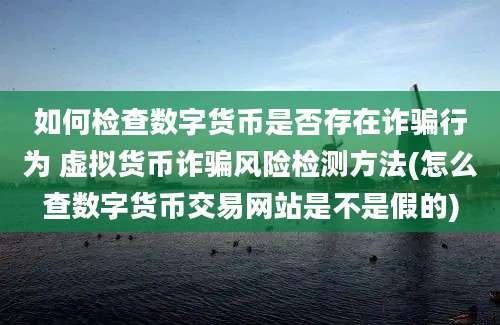 如何检查数字货币是否存在诈骗行为 虚拟货币诈骗风险检测方法(怎么查数字货币交易网站是不是假的)