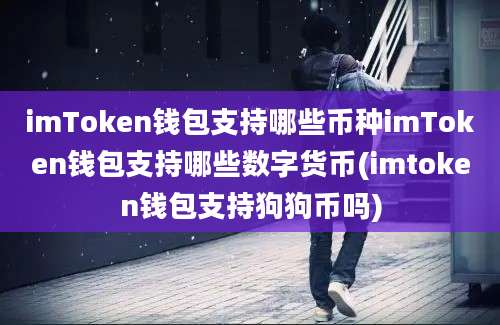 imToken钱包支持哪些币种imToken钱包支持哪些数字货币(imtoken钱包支持狗狗币吗)