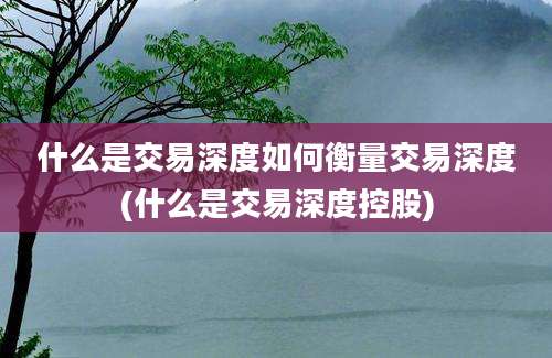 什么是交易深度如何衡量交易深度(什么是交易深度控股)