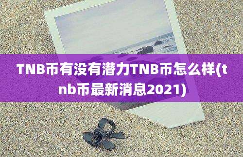 TNB币有没有潜力TNB币怎么样(tnb币最新消息2021)