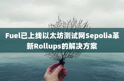 Fuel已上线以太坊测试网Sepolia革新Rollups的解决方案