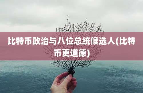 比特币政治与八位总统候选人(比特币更道德)