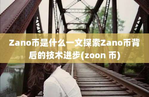 Zano币是什么一文探索Zano币背后的技术进步(zoon 币)