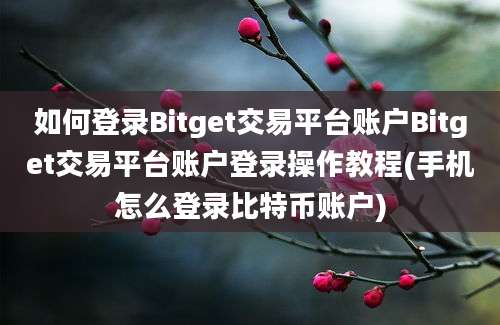 如何登录Bitget交易平台账户Bitget交易平台账户登录操作教程(手机怎么登录比特币账户)