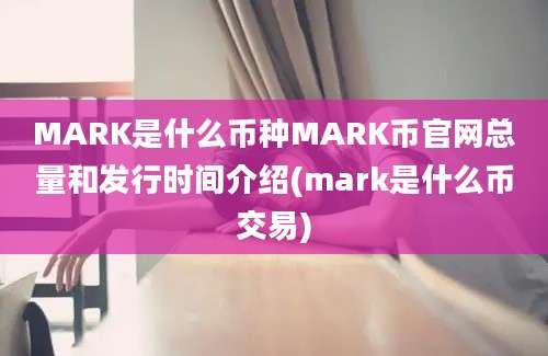 MARK是什么币种MARK币官网总量和发行时间介绍(mark是什么币交易)