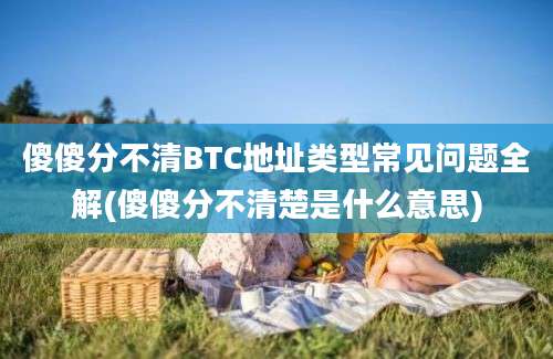 傻傻分不清BTC地址类型常见问题全解(傻傻分不清楚是什么意思)