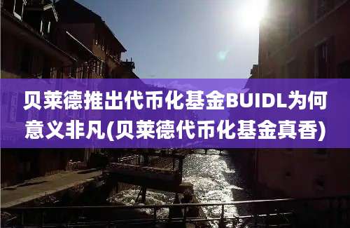 贝莱德推出代币化基金BUIDL为何意义非凡(贝莱德代币化基金真香)