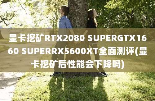 显卡挖矿RTX2080 SUPERGTX1660 SUPERRX5600XT全面测评(显卡挖矿后性能会下降吗)