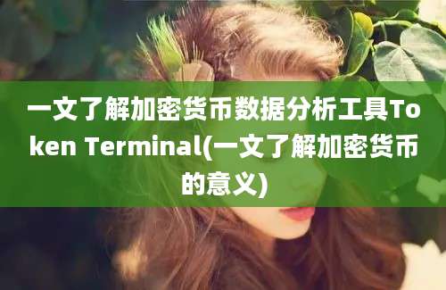 一文了解加密货币数据分析工具Token Terminal(一文了解加密货币的意义)