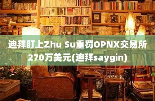 迪拜盯上Zhu Su重罚OPNX交易所270万美元(迪拜saygin)