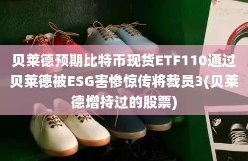 贝莱德预期比特币现货ETF110通过贝莱德被ESG害惨惊传将裁员3(贝莱德增持过的股票)