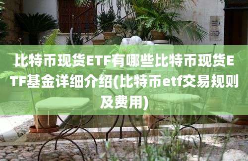 比特币现货ETF有哪些比特币现货ETF基金详细介绍(比特币etf交易规则及费用)