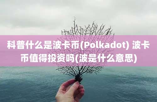 科普什么是波卡币(Polkadot) 波卡币值得投资吗(波是什么意思)