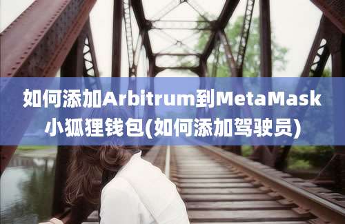 如何添加Arbitrum到MetaMask小狐狸钱包(如何添加驾驶员)