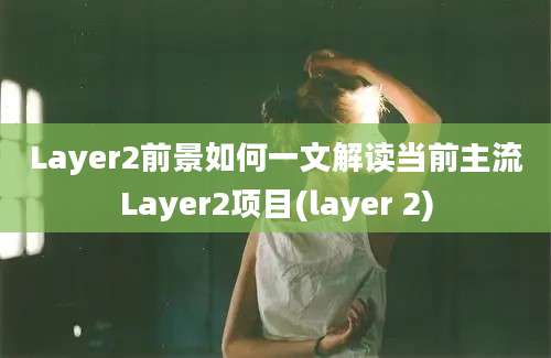 Layer2前景如何一文解读当前主流Layer2项目(layer 2)