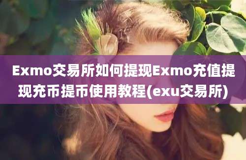 Exmo交易所如何提现Exmo充值提现充币提币使用教程(exu交易所)