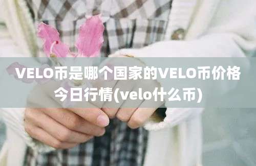 VELO币是哪个国家的VELO币价格今日行情(velo什么币)