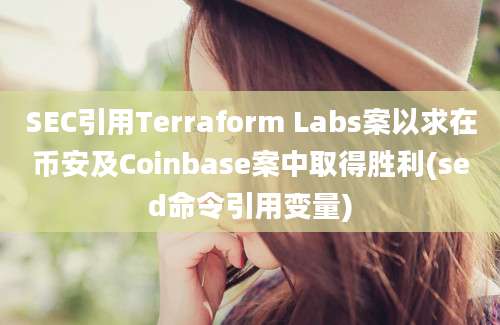 SEC引用Terraform Labs案以求在币安及Coinbase案中取得胜利(sed命令引用变量)