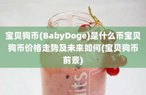 宝贝狗币(BabyDoge)是什么币宝贝狗币价格走势及未来如何(宝贝狗币前景)