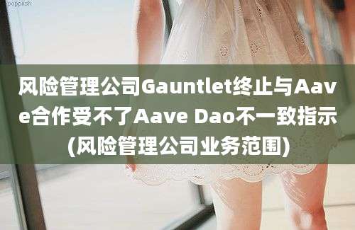 风险管理公司Gauntlet终止与Aave合作受不了Aave Dao不一致指示(风险管理公司业务范围)