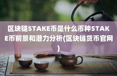 区块链STAKE币是什么币种STAKE币前景和潜力分析(区块链货币官网)