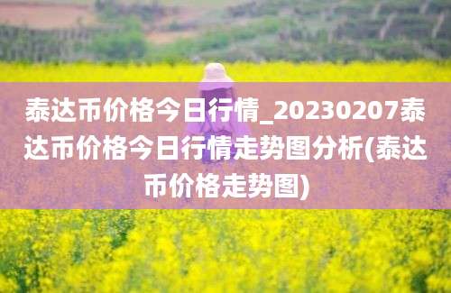 泰达币价格今日行情_20230207泰达币价格今日行情走势图分析(泰达币价格走势图)