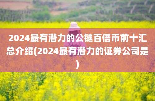 2024最有潜力的公链百倍币前十汇总介绍(2024最有潜力的证券公司是)