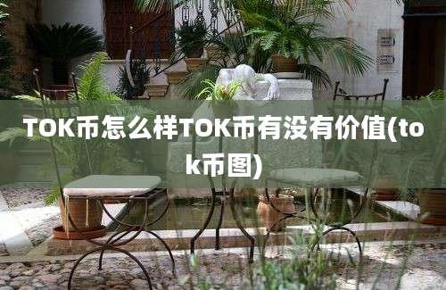 TOK币怎么样TOK币有没有价值(tok币图)