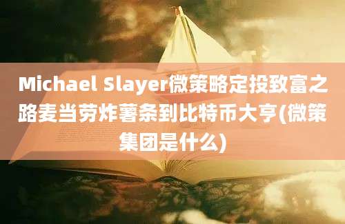 Michael Slayer微策略定投致富之路麦当劳炸薯条到比特币大亨(微策集团是什么)