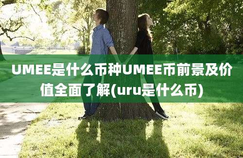 UMEE是什么币种UMEE币前景及价值全面了解(uru是什么币)