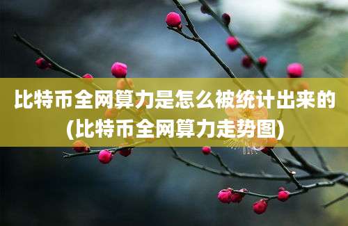 比特币全网算力是怎么被统计出来的(比特币全网算力走势图)