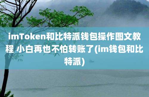 imToken和比特派钱包操作图文教程 小白再也不怕转账了(im钱包和比特派)