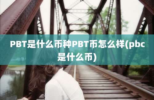 PBT是什么币种PBT币怎么样(pbc是什么币)