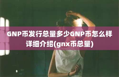 GNP币发行总量多少GNP币怎么样详细介绍(gnx币总量)