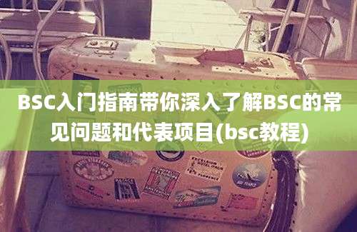 BSC入门指南带你深入了解BSC的常见问题和代表项目(bsc教程)