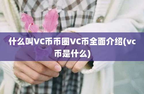 什么叫VC币币圈VC币全面介绍(vc币是什么)