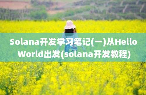 Solana开发学习笔记(一)从Hello World出发(solana开发教程)