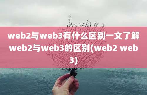 web2与web3有什么区别一文了解web2与web3的区别(web2 web3)