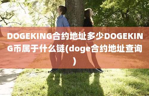 DOGEKING合约地址多少DOGEKING币属于什么链(doge合约地址查询)